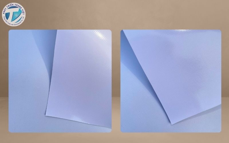 Bạt hiflex xuyên sáng